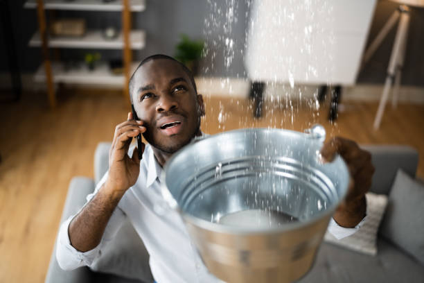 Best Water damage restoration near me  in Lifornia City, CA