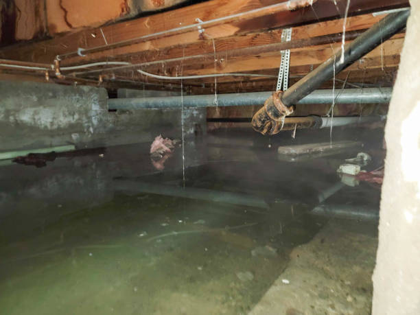 Trusted California City, CA Water damage restoration Experts