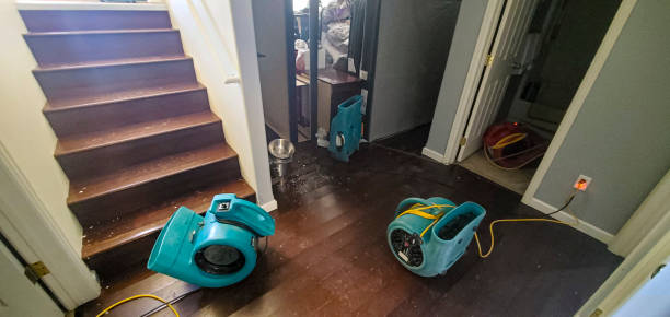  Lifornia City, CA Water damage restoration Pros