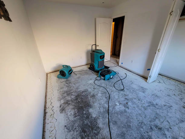 Best Local water damage restoration  in Lifornia City, CA