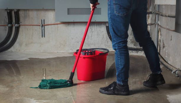 Best Water damage cleanup near me  in Lifornia City, CA