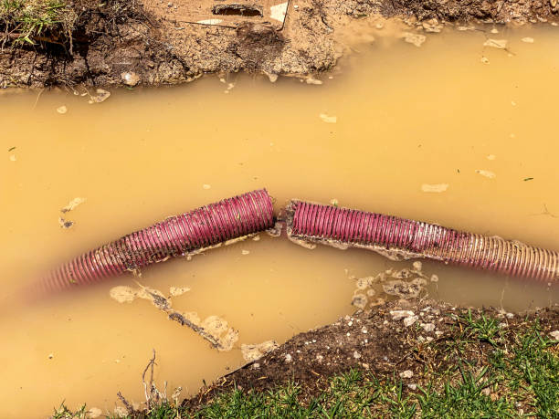 Best Emergency water damage restoration  in Lifornia City, CA